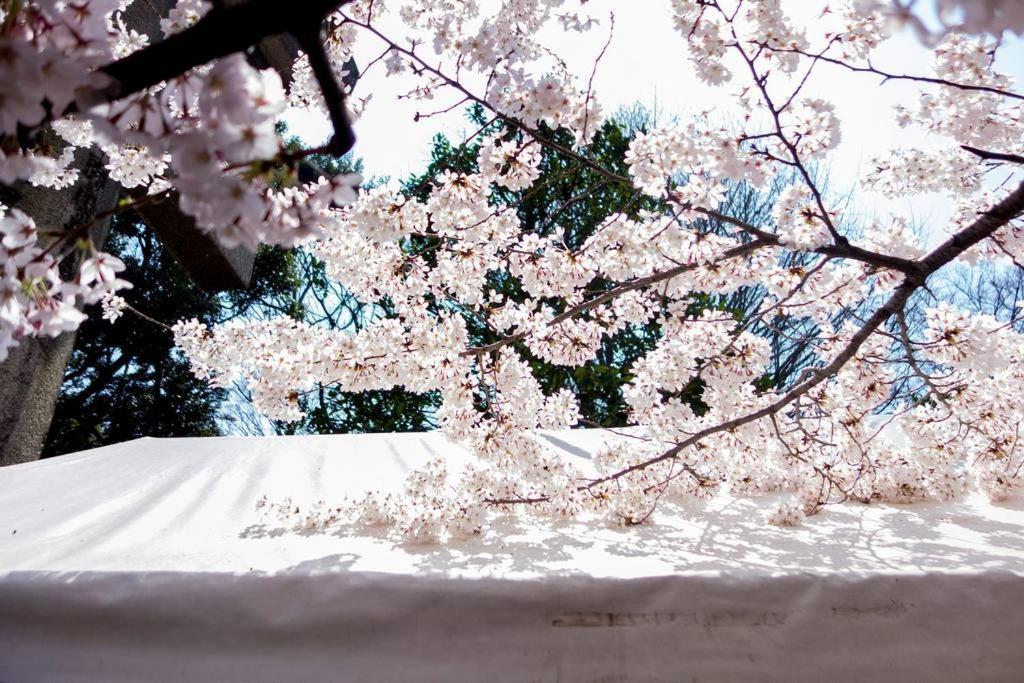 寅ホテル 台東 Hotel 寅 台东 Tora Hotel Taito A Tokio Exterior foto